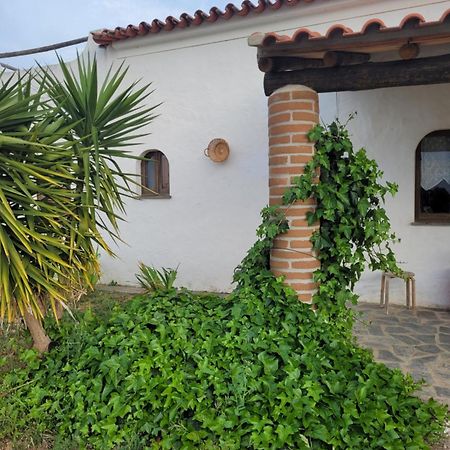 Quinta Da Belavista Villa เรเกงกุส ดิ มอนซารัซ ภายนอก รูปภาพ