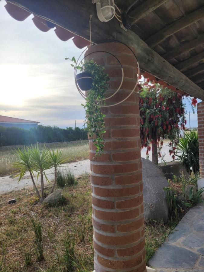Quinta Da Belavista Villa เรเกงกุส ดิ มอนซารัซ ภายนอก รูปภาพ